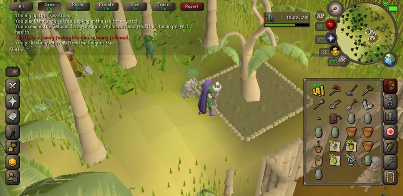 Screenshot_20191221-232737_Old School RuneScape.jpg