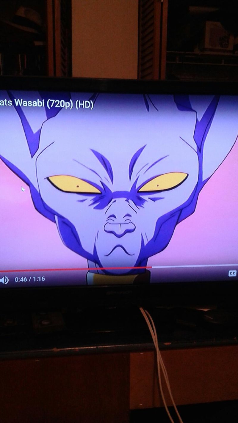 beerus.jpeg