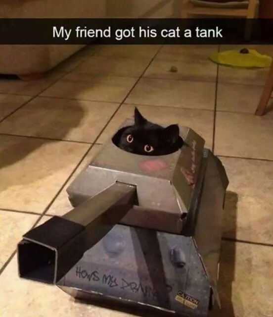 nya tank.jpg