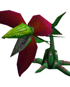 240px-Nar_Lily_(E1).png